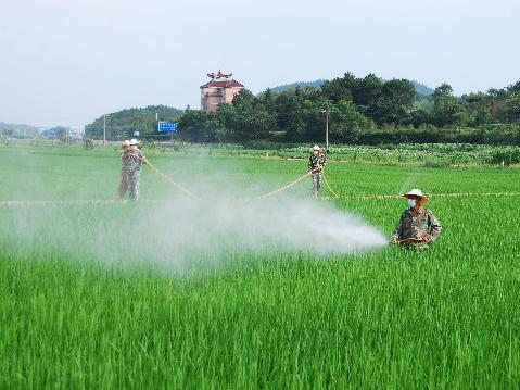 农药原药市场需求疲软，部分品种价格松动